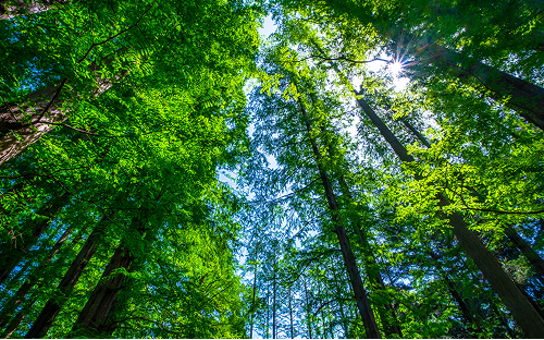 環境再生・特殊焼成設備（アスベスト無害化）